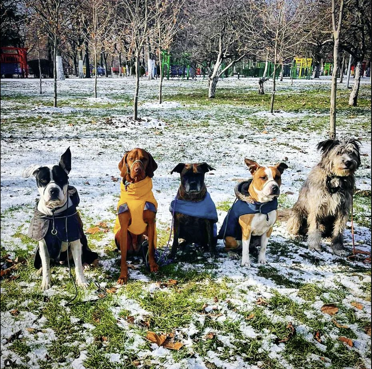 Follow us on Instagram